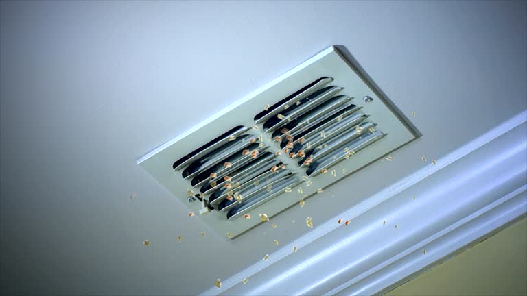 Best Air Duct Cleaning Near Me in IL