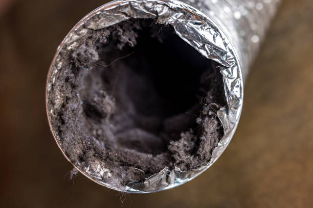 Best Local Air Duct Cleaning Services  in Chicago Ridge, IL